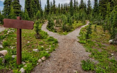 Using Values to Make Choices